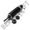 BERGKRAFT BK9500161 Shock Absorber, cab suspension